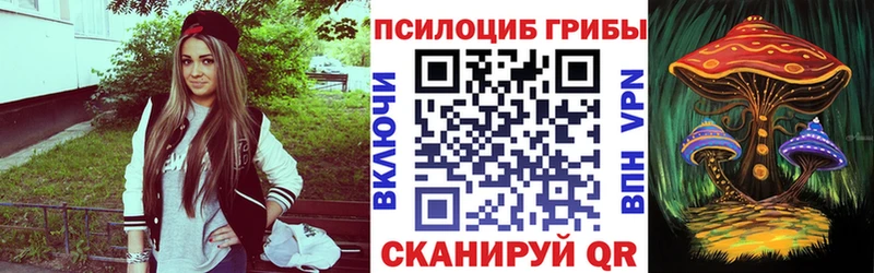 Псилоцибиновые грибы Psilocybe  Купить где  Чебаркуль 